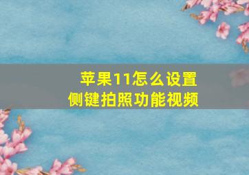 苹果11怎么设置侧键拍照功能视频