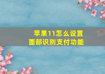 苹果11怎么设置面部识别支付功能