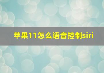 苹果11怎么语音控制siri