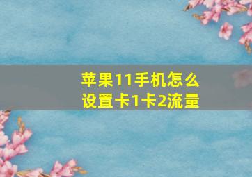 苹果11手机怎么设置卡1卡2流量