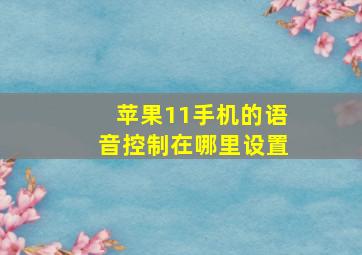 苹果11手机的语音控制在哪里设置