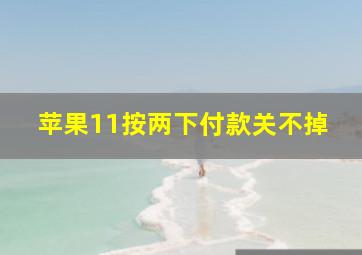 苹果11按两下付款关不掉