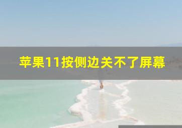 苹果11按侧边关不了屏幕