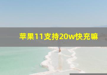 苹果11支持20w快充嘛