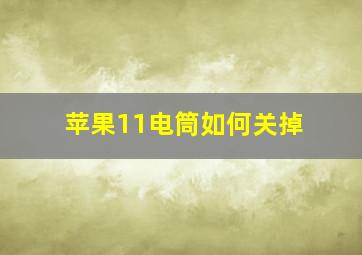 苹果11电筒如何关掉