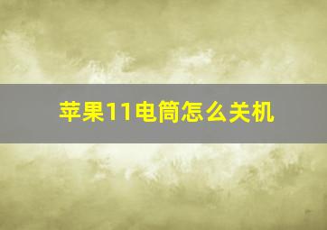 苹果11电筒怎么关机