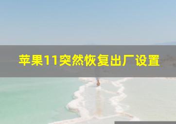 苹果11突然恢复出厂设置