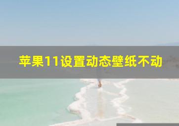 苹果11设置动态壁纸不动