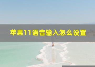 苹果11语音输入怎么设置