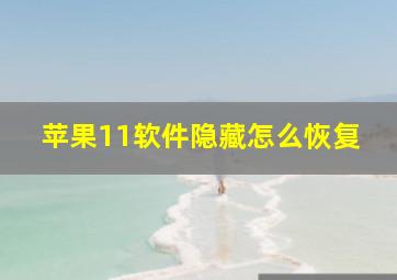 苹果11软件隐藏怎么恢复