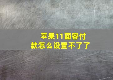 苹果11面容付款怎么设置不了了