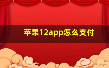 苹果12app怎么支付