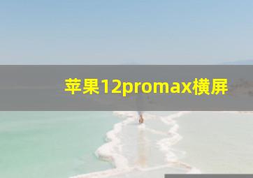 苹果12promax横屏