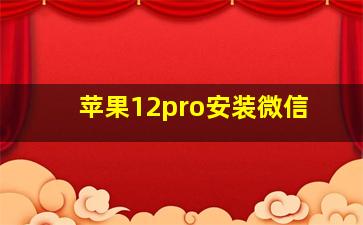 苹果12pro安装微信