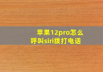 苹果12pro怎么呼叫siri拨打电话