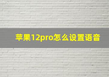 苹果12pro怎么设置语音