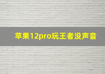 苹果12pro玩王者没声音