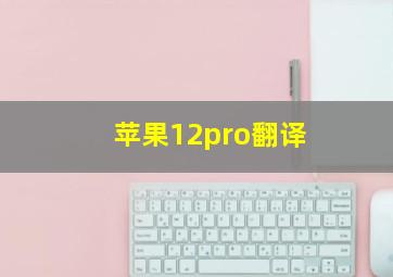 苹果12pro翻译