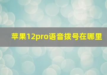 苹果12pro语音拨号在哪里