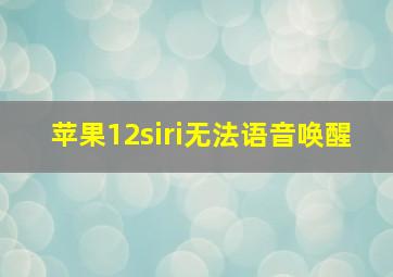 苹果12siri无法语音唤醒