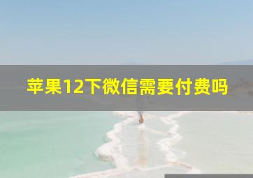 苹果12下微信需要付费吗