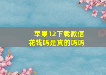 苹果12下载微信花钱吗是真的吗吗