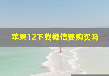 苹果12下载微信要购买吗