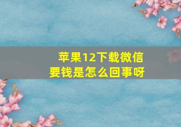 苹果12下载微信要钱是怎么回事呀