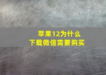 苹果12为什么下载微信需要购买