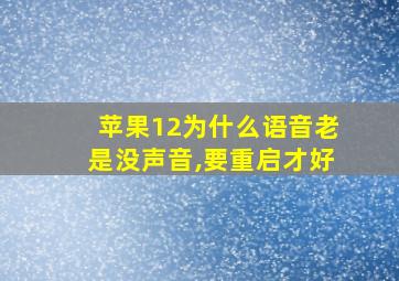 苹果12为什么语音老是没声音,要重启才好