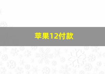 苹果12付款