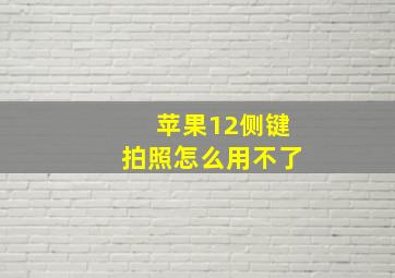 苹果12侧键拍照怎么用不了