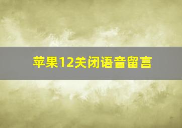 苹果12关闭语音留言