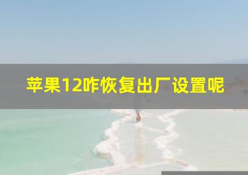 苹果12咋恢复出厂设置呢