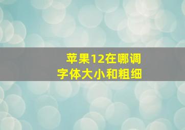 苹果12在哪调字体大小和粗细