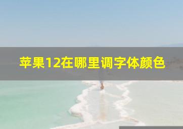 苹果12在哪里调字体颜色