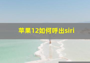 苹果12如何呼出siri