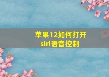 苹果12如何打开siri语音控制