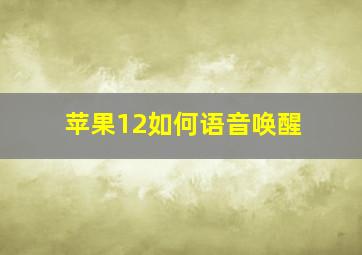 苹果12如何语音唤醒