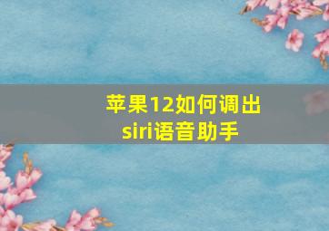 苹果12如何调出siri语音助手