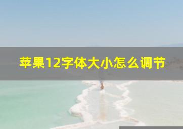 苹果12字体大小怎么调节