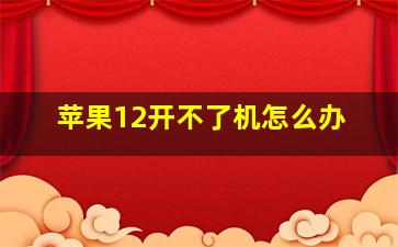 苹果12开不了机怎么办