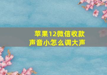 苹果12微信收款声音小怎么调大声