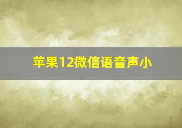 苹果12微信语音声小