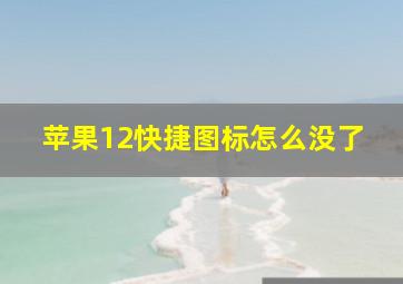 苹果12快捷图标怎么没了