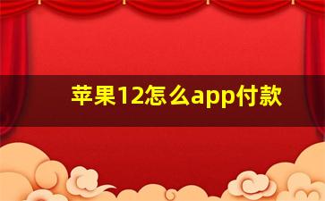 苹果12怎么app付款