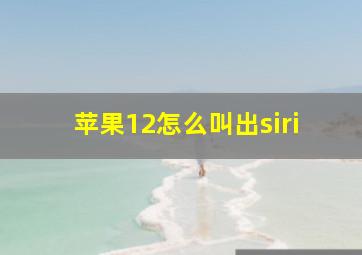 苹果12怎么叫出siri