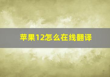 苹果12怎么在线翻译