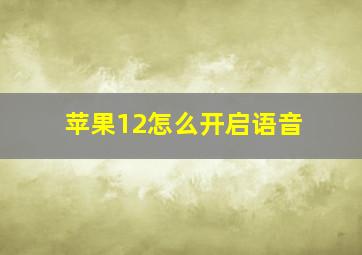 苹果12怎么开启语音