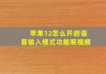 苹果12怎么开启语音输入模式功能呢视频